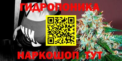 спиды Вязники