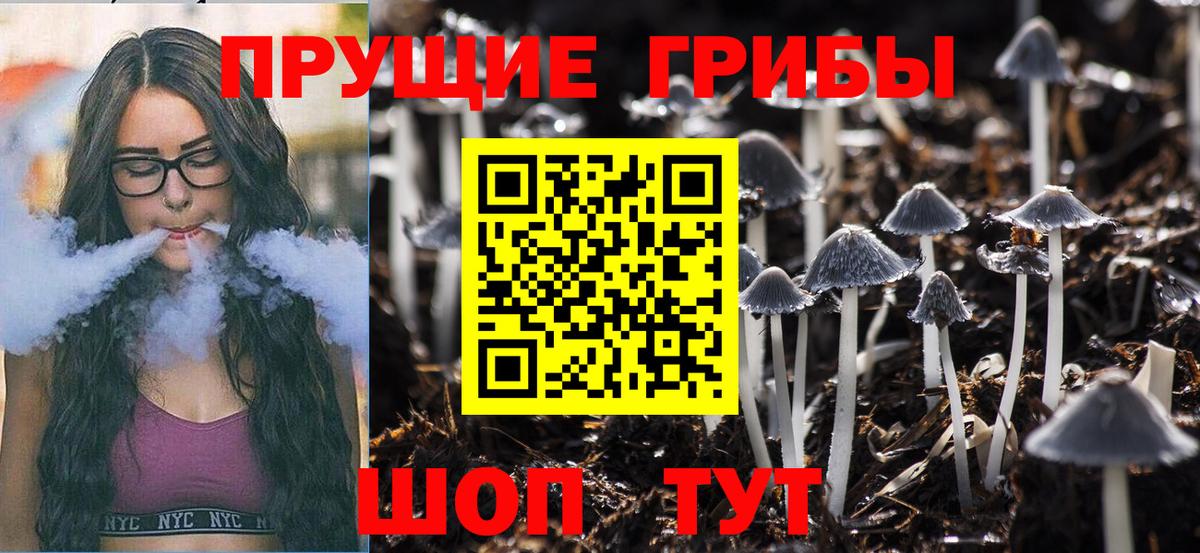 Новочеркасск  Псилоцибиновые грибы Psilocybe  Псилоцибиновые грибы мухоморы  Вход с VPN 