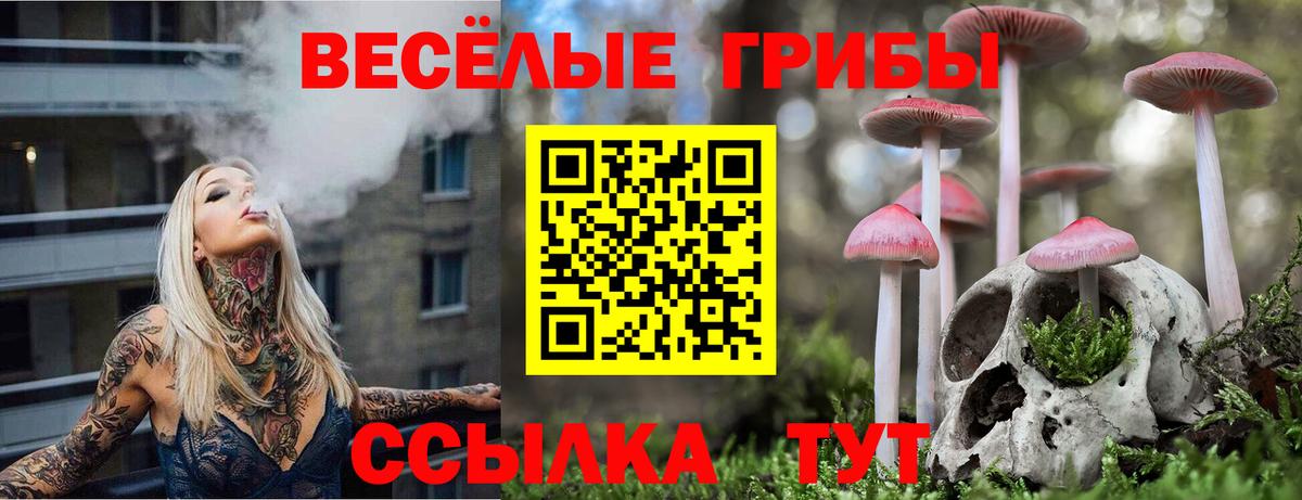 Псилоцибиновые грибы Psilocybine cubensis Новочеркасск